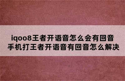 iqoo8王者开语音怎么会有回音 手机打王者开语音有回音怎么解决